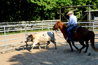 NWR Ranch Horse Days søndag 110623 0006