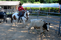 NWR Ranch Horse Days søndag 110623 0017