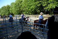 NWR Ranch Horse Days søndag 110623 0005