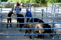 NWR Ranch Horse Days søndag 110623 0013
