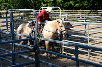 NWR Ranch Horse Days søndag 110623 0018