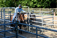 NWR Ranch Horse Days søndag 110623 0010