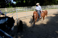 NWR Ranch Horse Days søndag 110623 0009