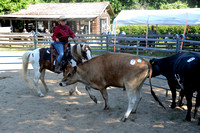 NWR Ranch Horse Days søndag 110623 0015