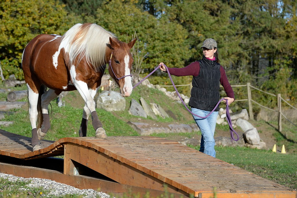Horsepark Denmark stævne 241020 0018