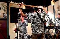 DSC_0006_Zebrass