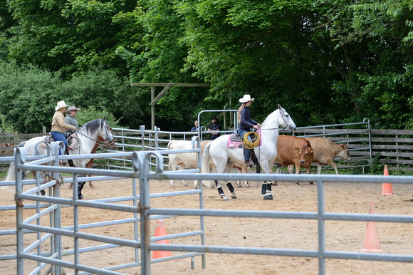 NWR Ranch Horse Days 270621 0010