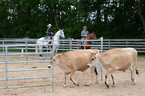 NWR Ranch Horse Days 270621 0012