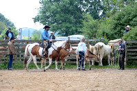 Ranch Horse Days lørdag 260621 0020
