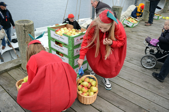 Æblefestival i Ebeltoft 121013