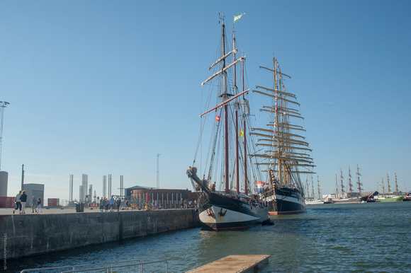 Tall-Ship-Race2018-Esbjerg_018