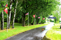 Mosten Engelsk Træf fredag 060625 0019