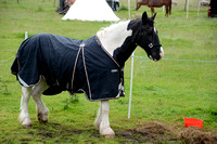 NWR Ranch Horse Days LØRDAG 080624 0005